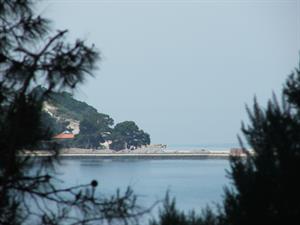 Природа 186.jpg